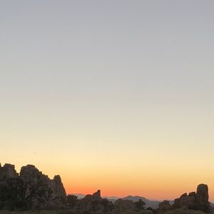 Meet your Posher, Cleo